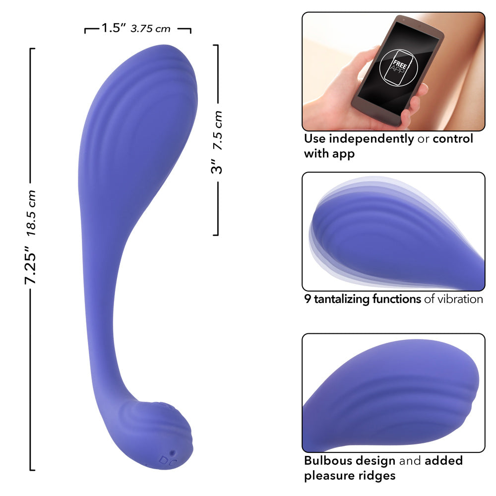 Calexotics Connect Kegel Exerciser - Periwinkle