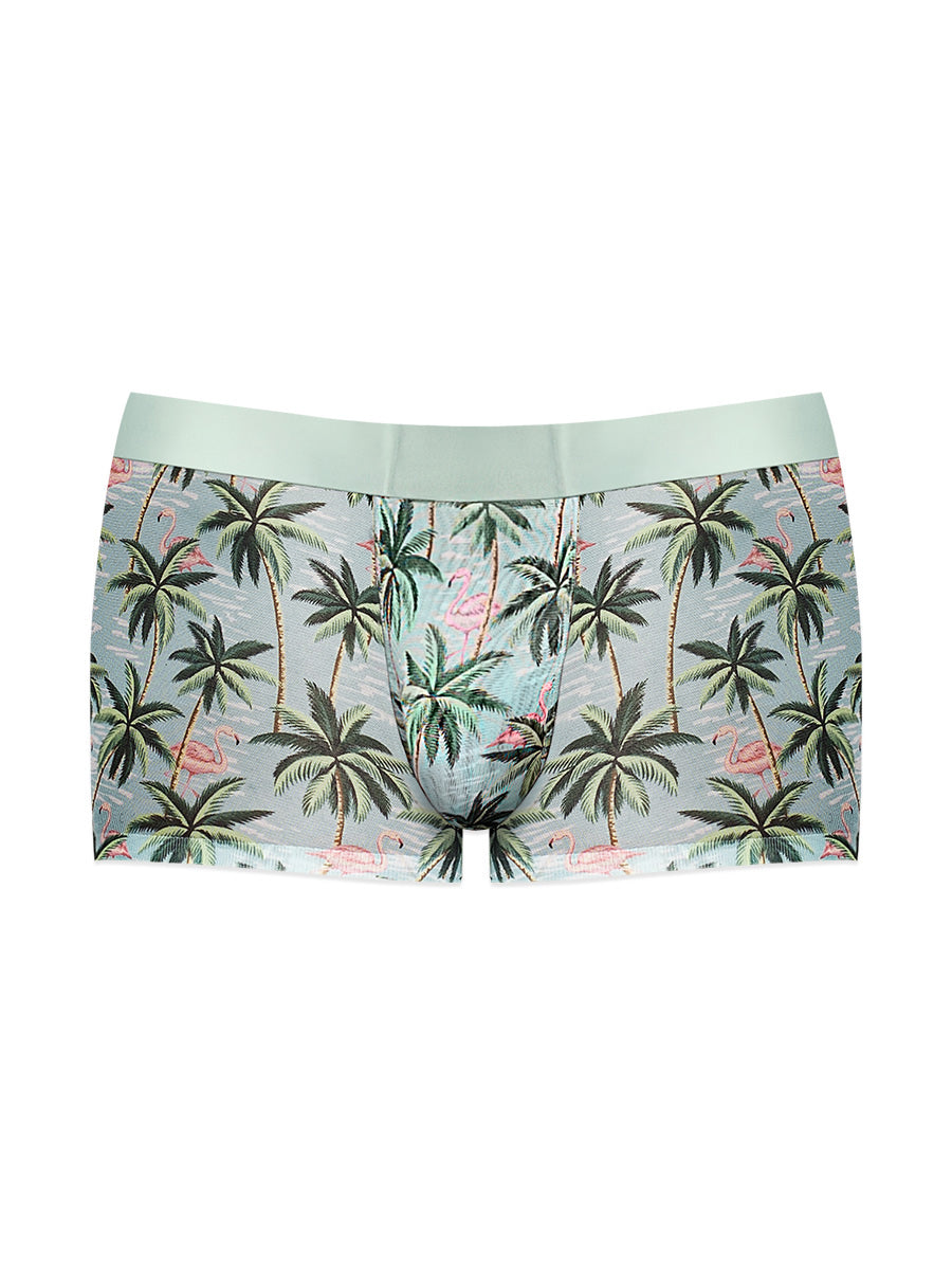 Sheer Prints - Seamless Sheer Short - Medium -  Flamingo